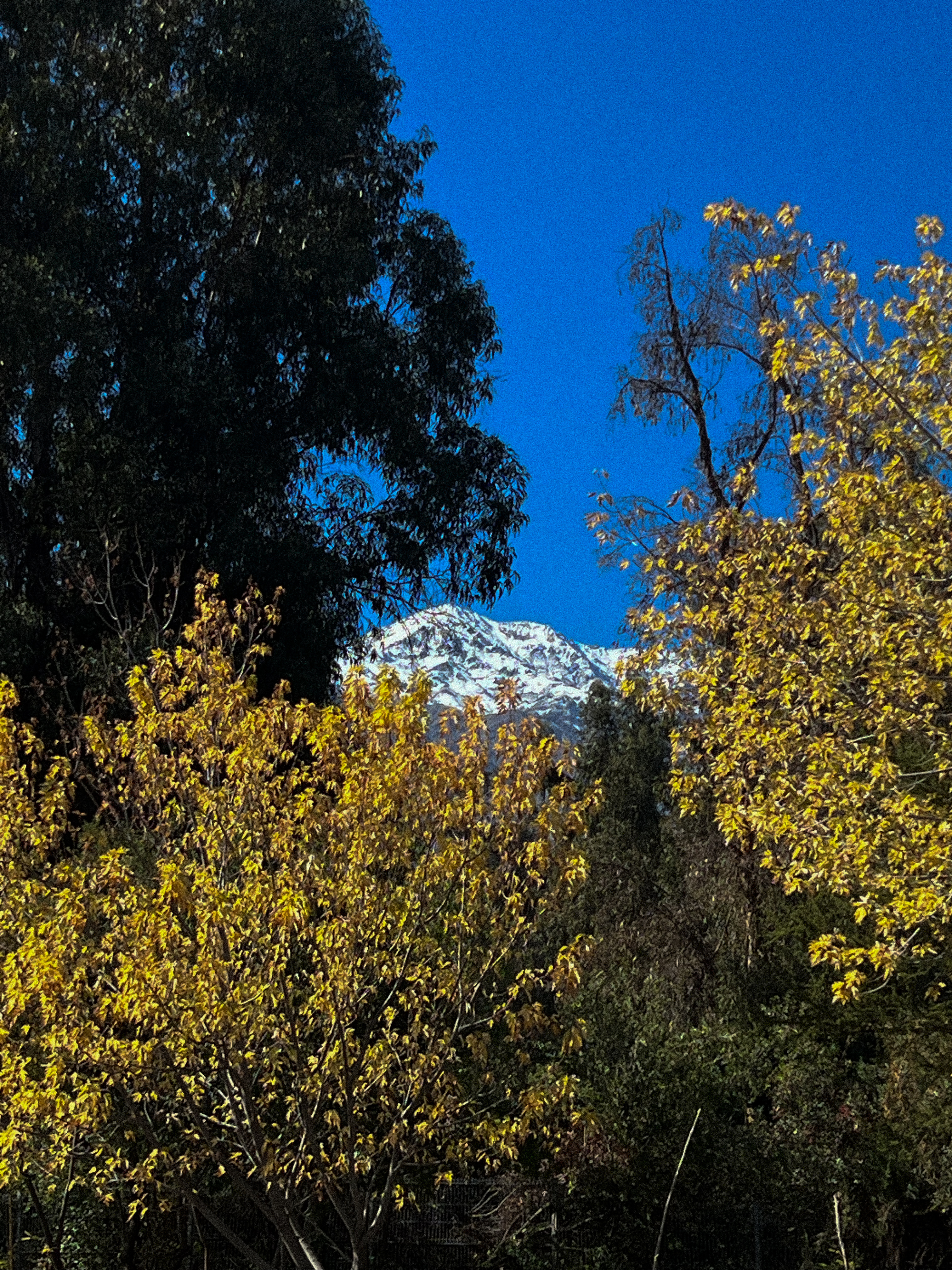 Vista a la cordillera nevada desde Peñalolén